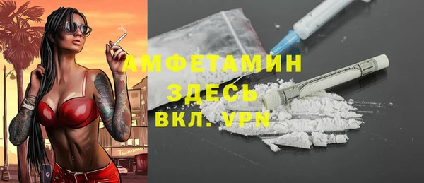 индика Михайловка