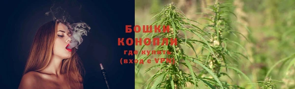 индика Магас