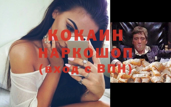 индика Михайловка