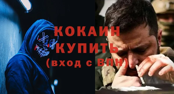 индика Михайловка
