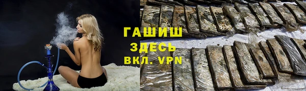 стафф Михайлов